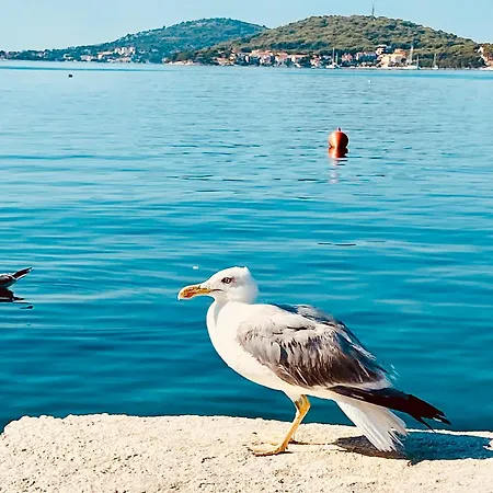 Lägenhet Veic Rogoznica (Sibenik-Knin)